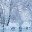 Image result for Winter Wallpaper for Android Phone