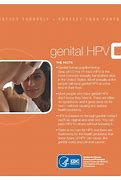 Image result for Early Genital Human Papillomavirus