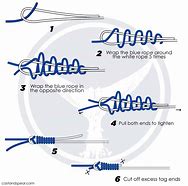 Image result for Rp Knot