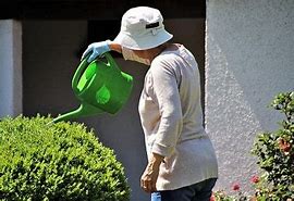 Image result for Best Watering Cans Outdoor