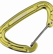 Image result for Wire Gate Carabiner