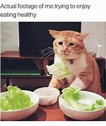 Image result for Healthy Habits Meme
