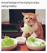 Image result for Eating Healthy Meal Meme