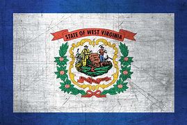 Image result for wv state flag colors