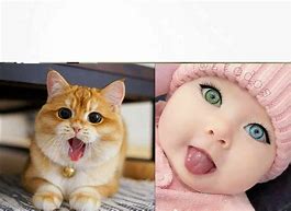 Image result for Cuteness Meme Template