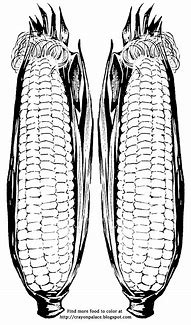 Image result for Corn Husk Coloring Page