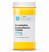 Image result for amadrinat