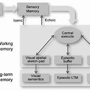 Image result for Human Memory System