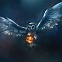 Image result for Cool Owl Pictures