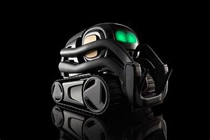 Image result for Vector Home Robot