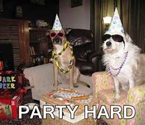 Image result for Party Dog Meme