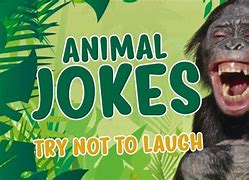 Image result for New Funny Jokes 2019