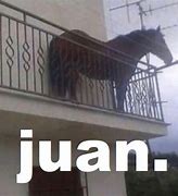 Image result for Juan Horse Meme