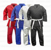 Image result for Karate Uniform Colors