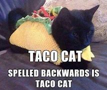 Image result for Taco Day Meme