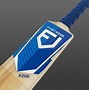 Image result for Kashmir Willow Cricket Bats Sport