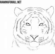 Image result for Tiger Drawing Base