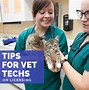 Image result for Veterinary Technician