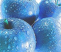 Image result for Blue Apple