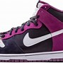 Image result for Nike Dunk High Pro