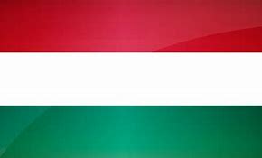 Image result for Hungry's Flag