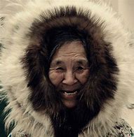 Image result for Greenland Inuit Scandal Denmark