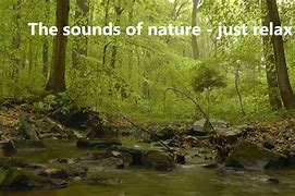 Image result for Relaxing Nature Sounds for Sleeping