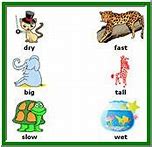 Image result for Free Printable Preschool Activity Worksheets