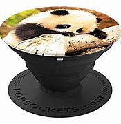 Image result for Cute Animal Popsockets