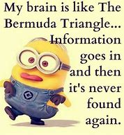 Image result for Things Minions Say