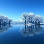 Image result for January Wallpaper for Computer