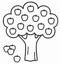 Image result for 15Ft Apple Tree