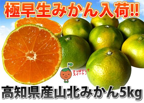 山北みかん に対する画像結果