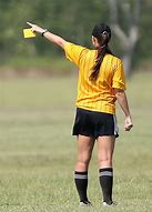 Image result for Match Referee