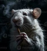 Image result for Rat Smoking Meme