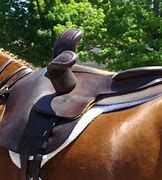 Image result for Side Saddle Horse Riding