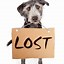 Image result for Lost Puppy