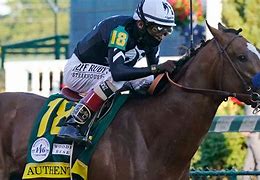 Image result for Horse Racing Finish Free Photos