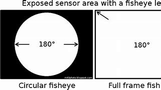 Image result for Wide Angle vs Fisheye Lens