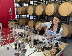 Image result for Raymond Winemaker for a Day Dare to