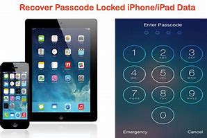 Image result for Forgot Passcode Mini iPad Gold