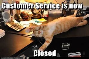 Image result for Customer Service Cat Meme