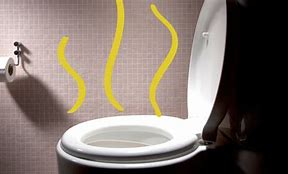 Image result for Urine Smell