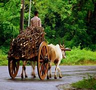 Image result for Ancient Means of Transportation