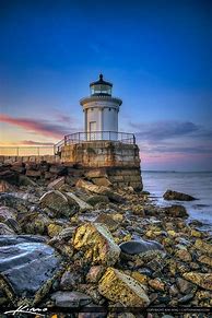 Image result for Bug Light Boycott