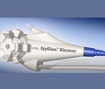 Image result for LumaSense Technologies Spyglass Red Dot On Spyglass
