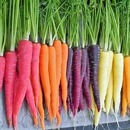 Image result for 24 Carrot Gold Rose