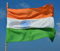 Image result for Delphi India Flag