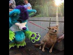 Image result for Furry Meme Dog Doge