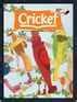 Image result for Cricket Magazine Puzzles